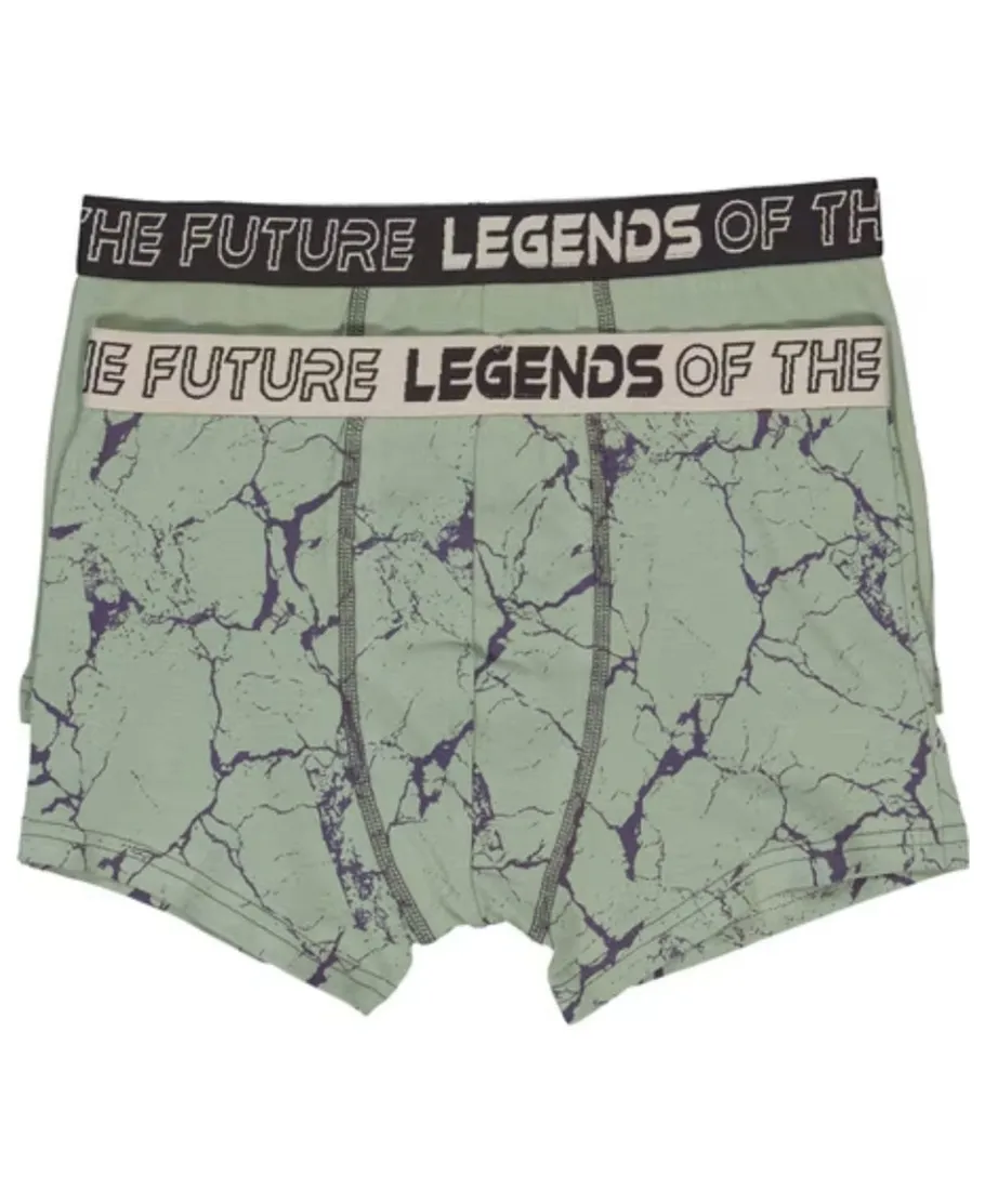 Discount Boy's Fashion Trunk 2 Pack Kids Underwear|Kids Briefs