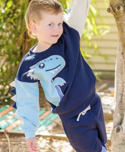 Online Little Kids 3D Dino Sweatshirt Kids Sweats + Fleece|Kids 1 - 7